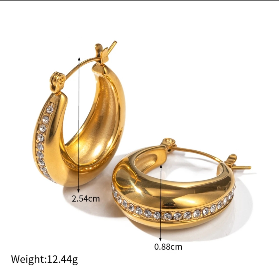 Dazzling Zirconia Earrings