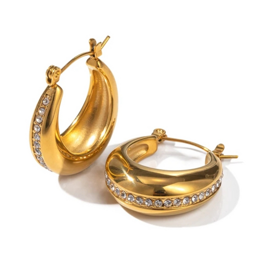 Dazzling Zirconia Earrings